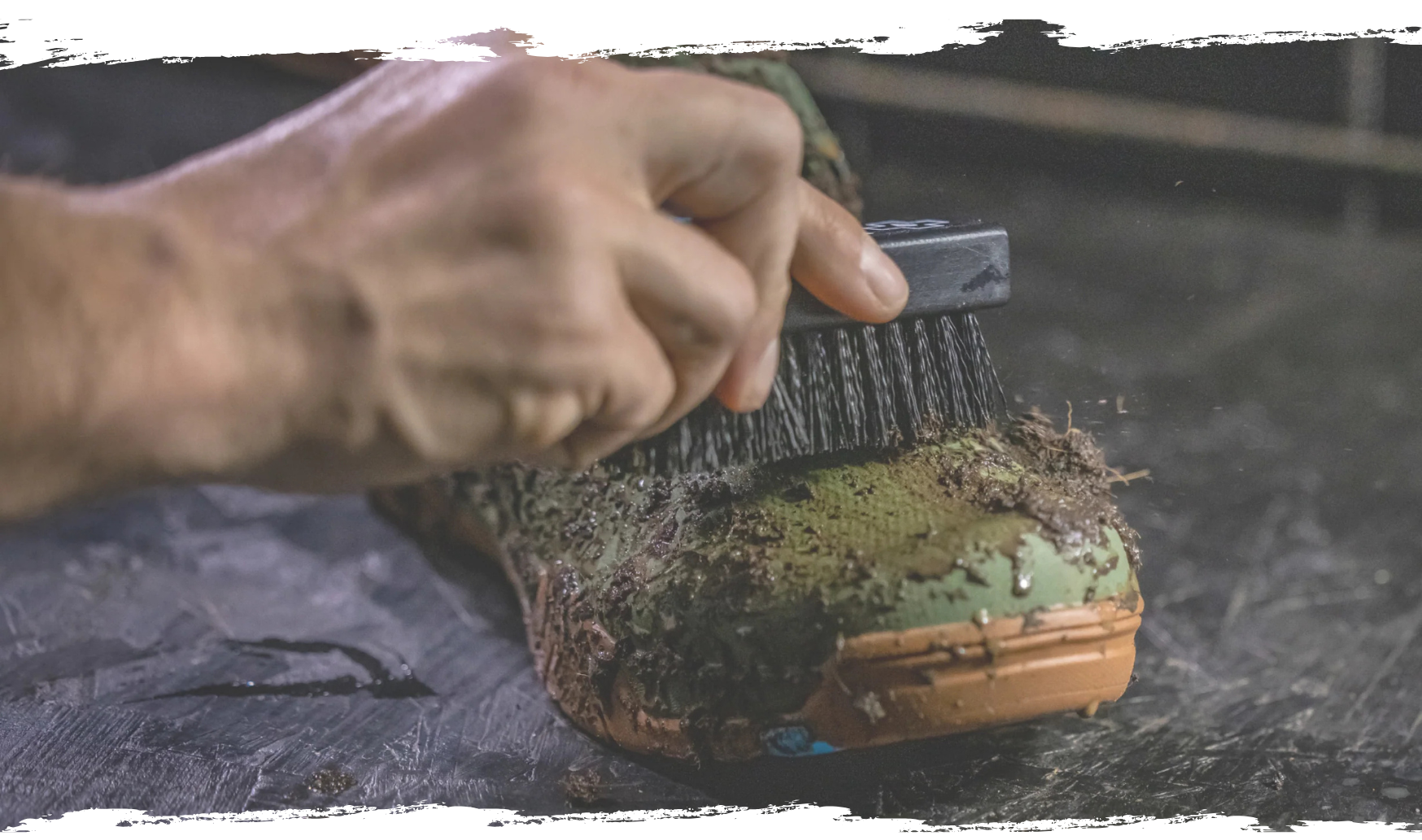 SHOE BRUSH